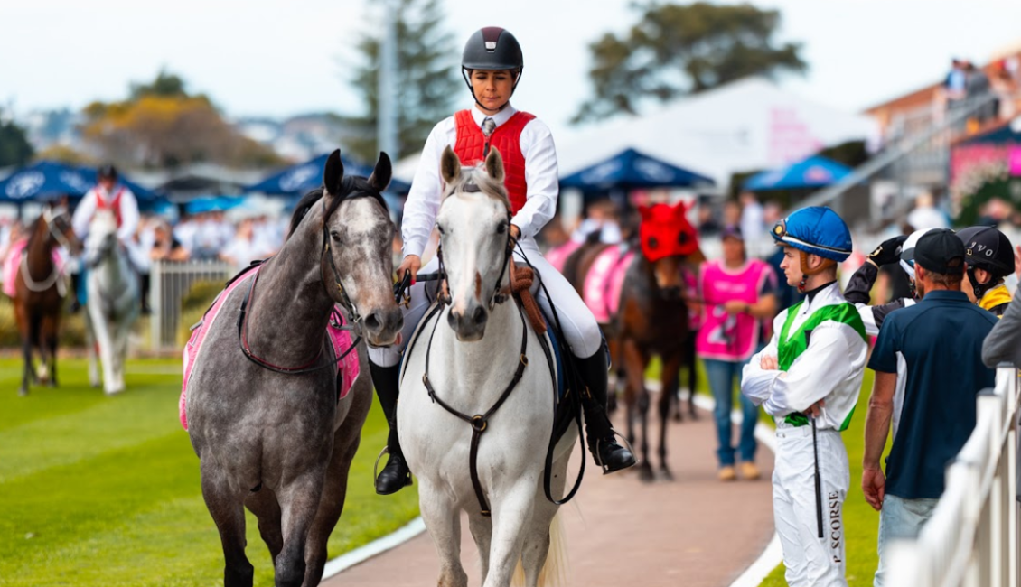 Wine Country Race Day