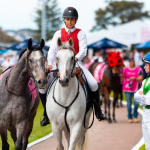 Wine Country Race Day