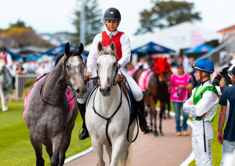 Wine Country Race Day