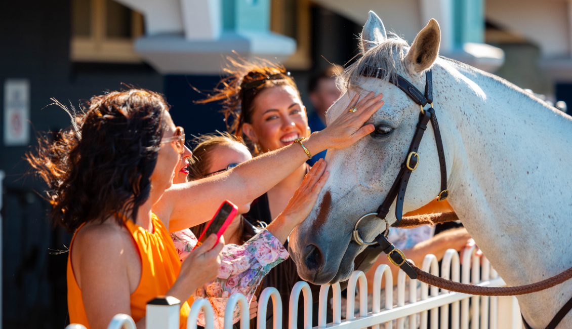 Newcastle Mid-Week Race Day