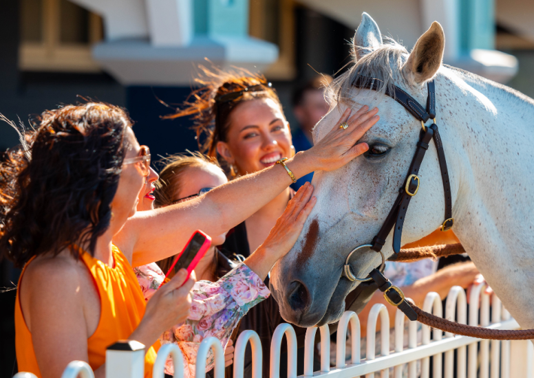 Newcastle Mid-Week Race Day
