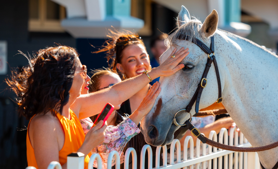 Newcastle Mid-Week Race Day