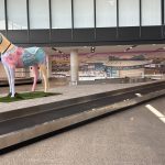 Activation: The Newcastle Herald Hunter Race Day